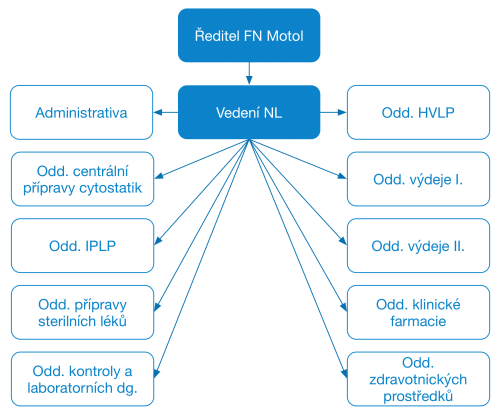 Struktura FN Motol